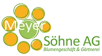 Logo Meyer Söhne AG