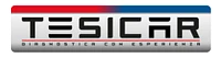 TesicaR Sagl-Logo