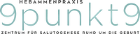 9punkt9 GmbH-Logo