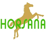 HORSANA Reitsport AG-Logo