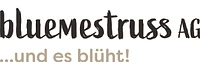 bluemestrussAG Wanninger-Logo