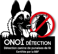 Logo Onoï Détection