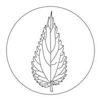 Der Pflanzenkoch Jonas Brunner logo