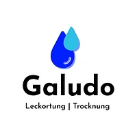 Galudo GmbH logo