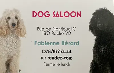Dog Saloon - Salon de toilettage