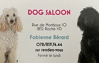 Logo Dog Saloon - Salon de toilettage