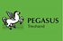 Pegasus Treuhand Urs Vögele Beratungen GmbH