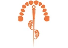 Dr. med. dent. Rüegg Marco-Logo