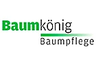 Logo Baumkönig Zahno Patrick