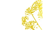 Logo Blumengeschäft Toujours Plüss
