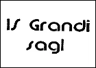 IS Grandi Sagl logo