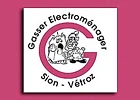 Gasser Electroménager-Logo