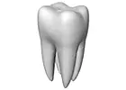 Zahnarzt Fornaro