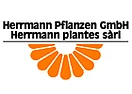 Herrmann Pflanzen GmbH-Logo