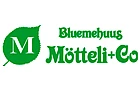 Bluemehuus Mötteli + Co.-Logo