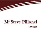 Pillonel Steve logo