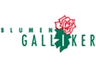 Logo Blumen Galliker