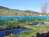 Bio Fish Valley SA - Klicken Sie, um das Bild 5 in einer Lightbox vergrössert darzustellen