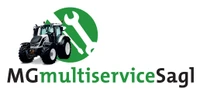 MG multiservice Sagl-Logo