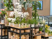 Fleuriot centre Manor Vevey