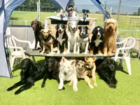 Nimalik Hundeschule & Hundepension