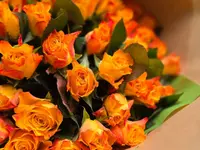 Aux Arcades fleurs