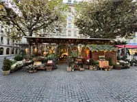 MOG Design Végétal Sàrl