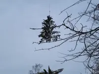 Nesurini Daniele - Lavori Forestali e Segheria - Klicken Sie, um das Bild 6 in einer Lightbox vergrössert darzustellen