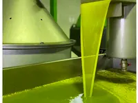 Chiera Azienda Agricola - produzione e vendita olio extra vergine di oliva