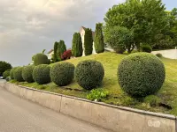 HGU Hauswartungen - Klicken Sie, um das Bild 6 in einer Lightbox vergrössert darzustellen