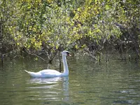 Camping Rivabella