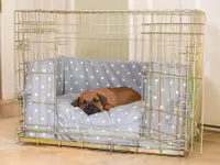 Associazione Cinofila Security Dog School