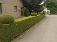 Brühlmann Liegenschaftenbetreuungen GmbH