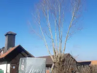 Blattert Garten- und Rasenpflege GmbH