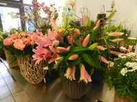 Rosanella Blumen