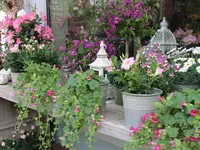 Blumen Pasadena