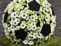 Blumen Zweerus