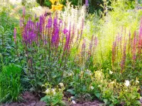 Kelpe Gartenbau