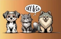 Sky&Co-Logo