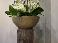 Nobilis Artisan Fleuriste Frédéric Gandon