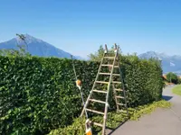 Gartenunterhalt & Pflege