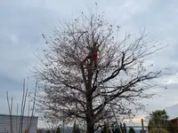 Signer Gartenpflege - Klicken Sie, um das Bild 10 in einer Lightbox vergrössert darzustellen