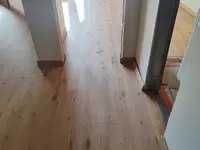 Edilspeed di Totu Iosif