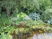 Willener Urs Gartenbau AG
