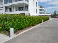 Grab Gartenbau AG