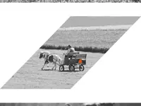 Rechts- und Steuerpraxis H. Zumstein AG