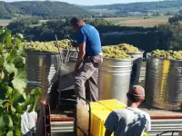 Weingut Alter Berg