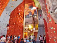 Gecko escalade Sàrl