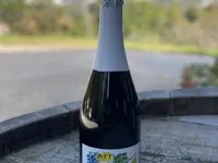 Weinbau Leuengrund - Schneider Weine
