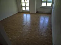 Reinigung und Renovation Antohi